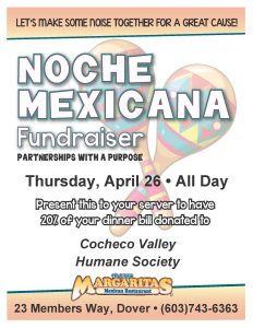 Noche Mexicana Fundraiser Flyer