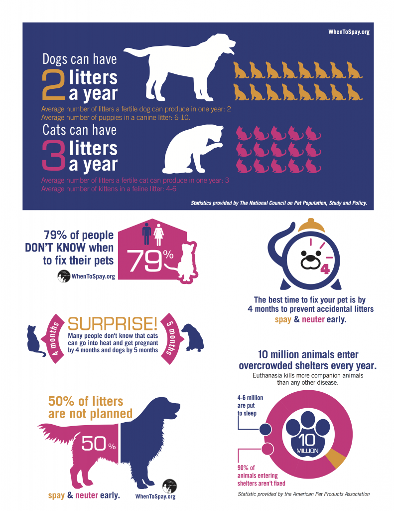 Why You Should Spay Or Neuter Your Pet | Pope Memorial Humane Society