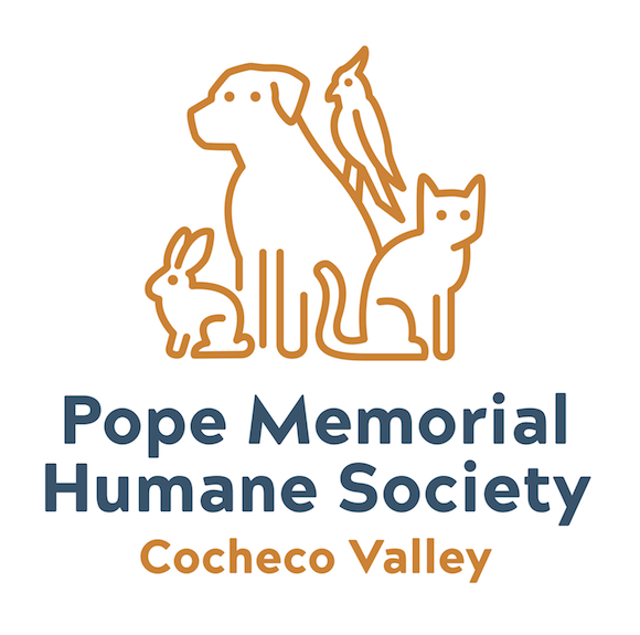 Becoming Pope Memorial Humane Society Pope Memorial Humane Society