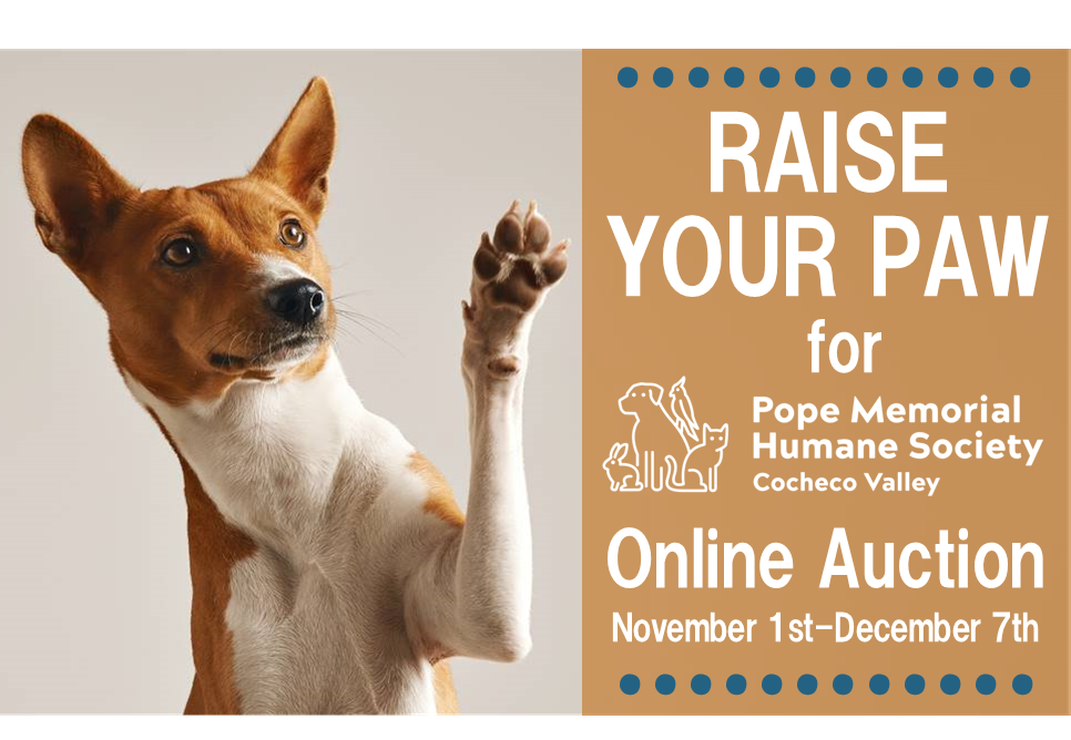 Raise Your Paw for PMHS-CV! Online Auction | Pope Memorial Humane Society