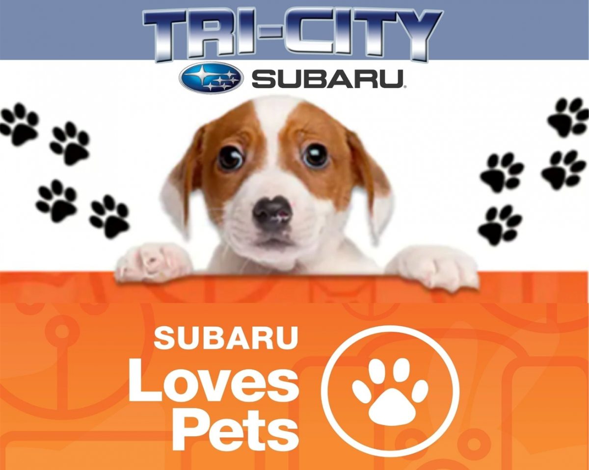 Subaru Loves Pets Event Pope Memorial Humane Society