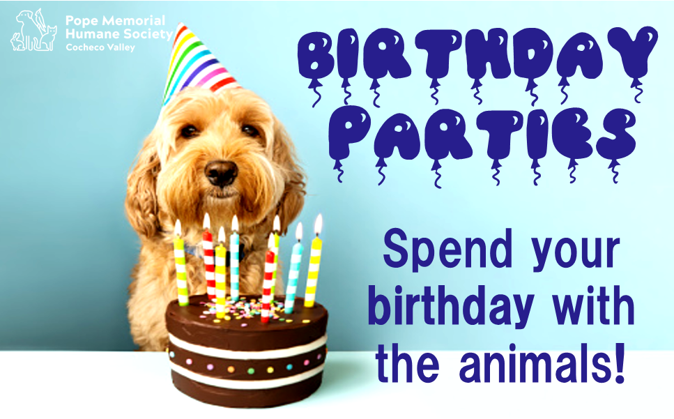 Birthday Parties! | Pope Memorial Humane Society