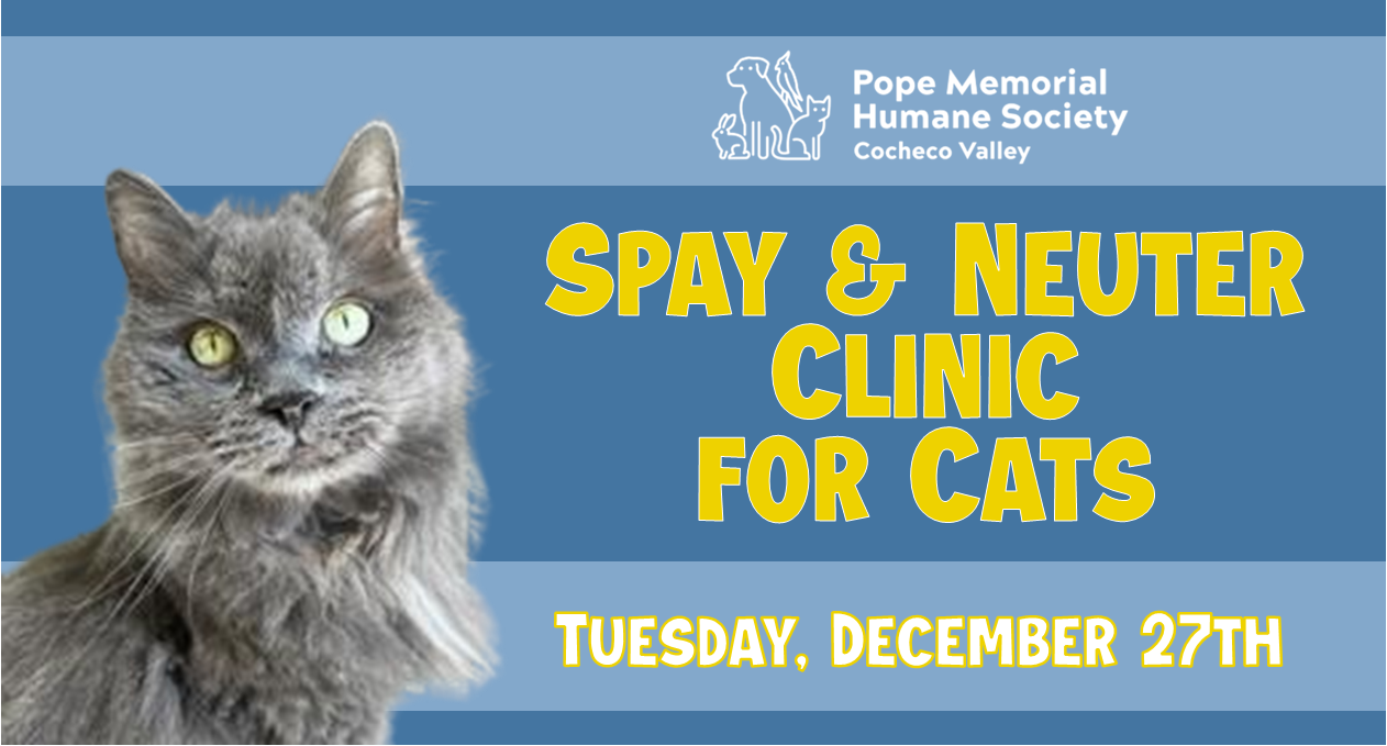 Spay & Neuter Clinic for Cats Pope Memorial Humane Society