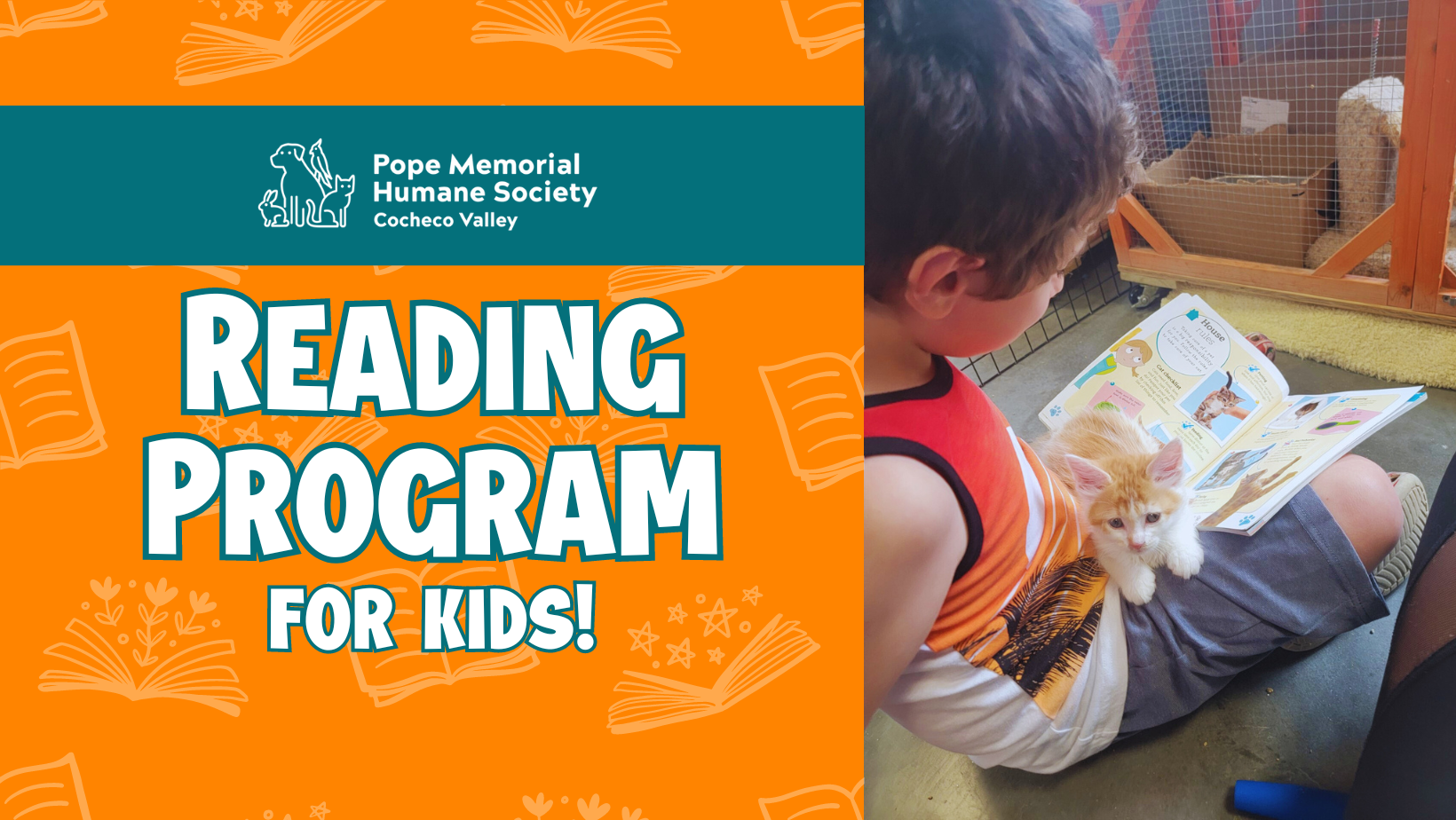 "Reading Program for Kids"