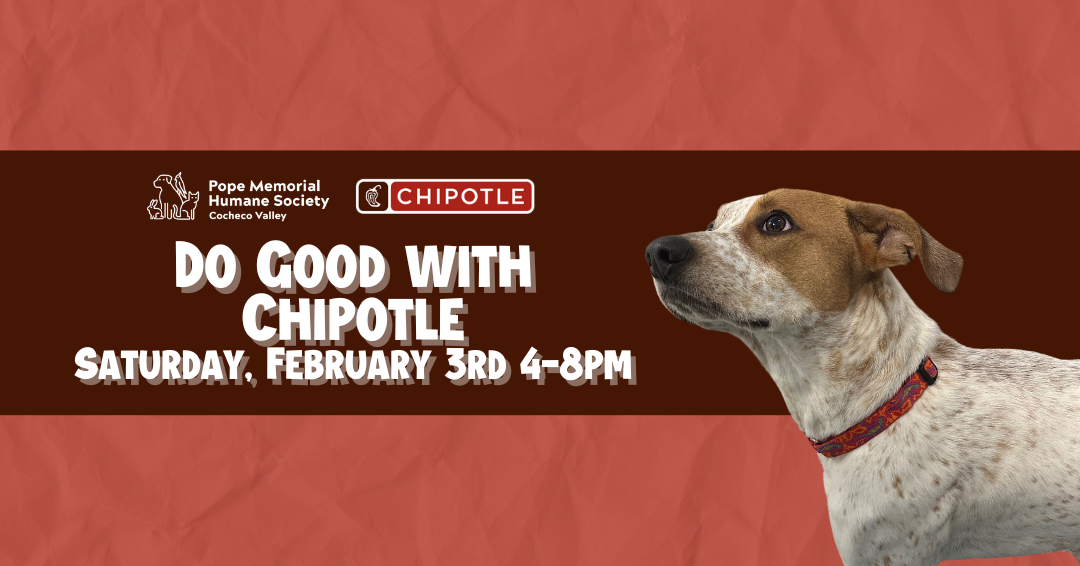 Light red background with with a paper texture. A darker red band across the middle with the text "Do Good with Chipotle Saturday, February 3rd 4-8pm". A tan hound dog with brown around his eyes standing on the right hand side.