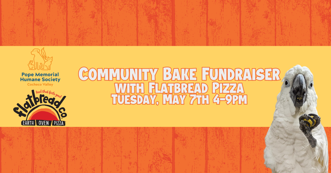 Orange background with with a wood board texture. A yellow band across the middle with the text "Community Bake Fundraiser with Flatbread Pizza Tuesday, May 7th 4-9pm". A white Cockatoo on the right hand side.