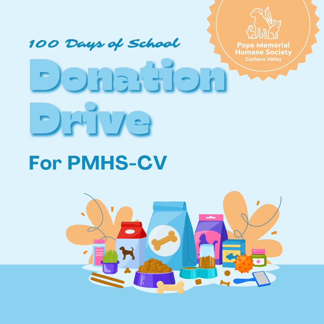 Light blue background with darker blue text that says "100 Days of School Donation Drive for PMHS-CV" with a collection of pet food and supplies in the foreground.