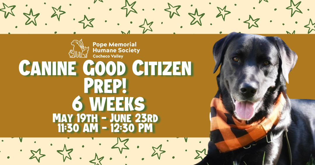 "Canine Good Citizen Prep! 6 weeks May 19th - June 23rd 11:30 AM - 12:30 PM"