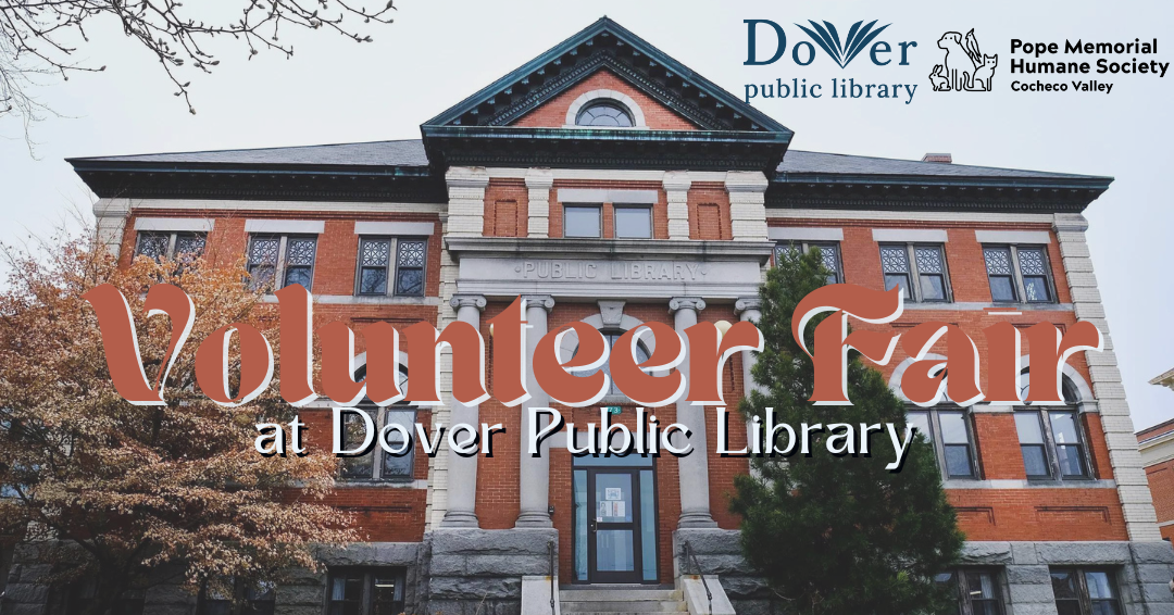 Volunteer Fair at Dover Public Library