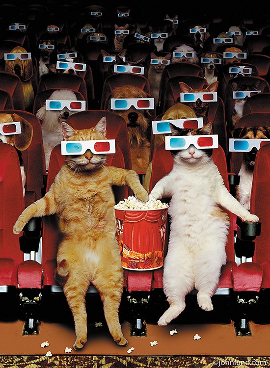 A bunch of cats and dogs in seats at a movie theater. They're all wearing 3-D glasses, and the 2 cats at the front both have a paw in a shared popcorn bucket. They're having a movie night!